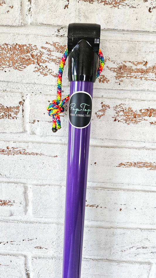 Punchy Plum || PopTop Goat String Tube