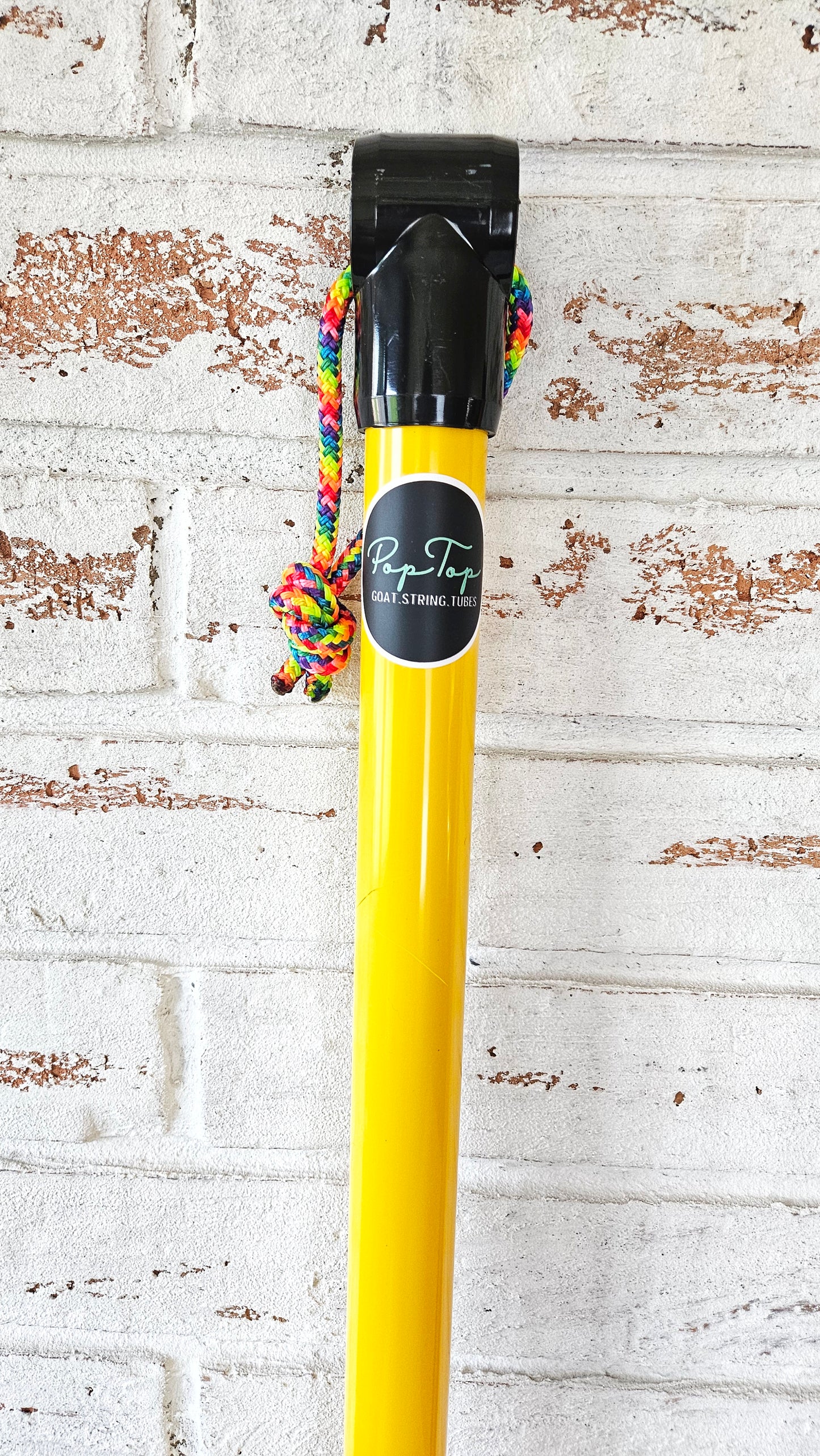 Lemon Drop || PopTop Goat String Tube